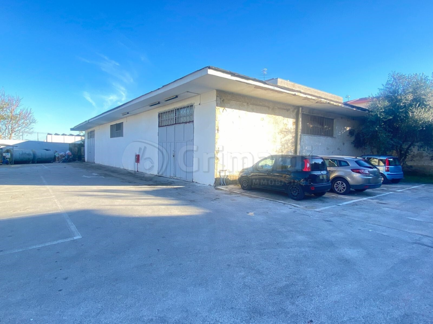 immagine annuncio 9 di 10