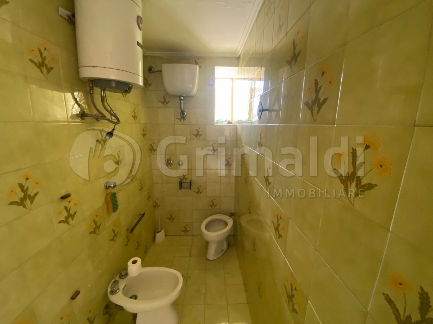 immagine annuncio 5 di 8