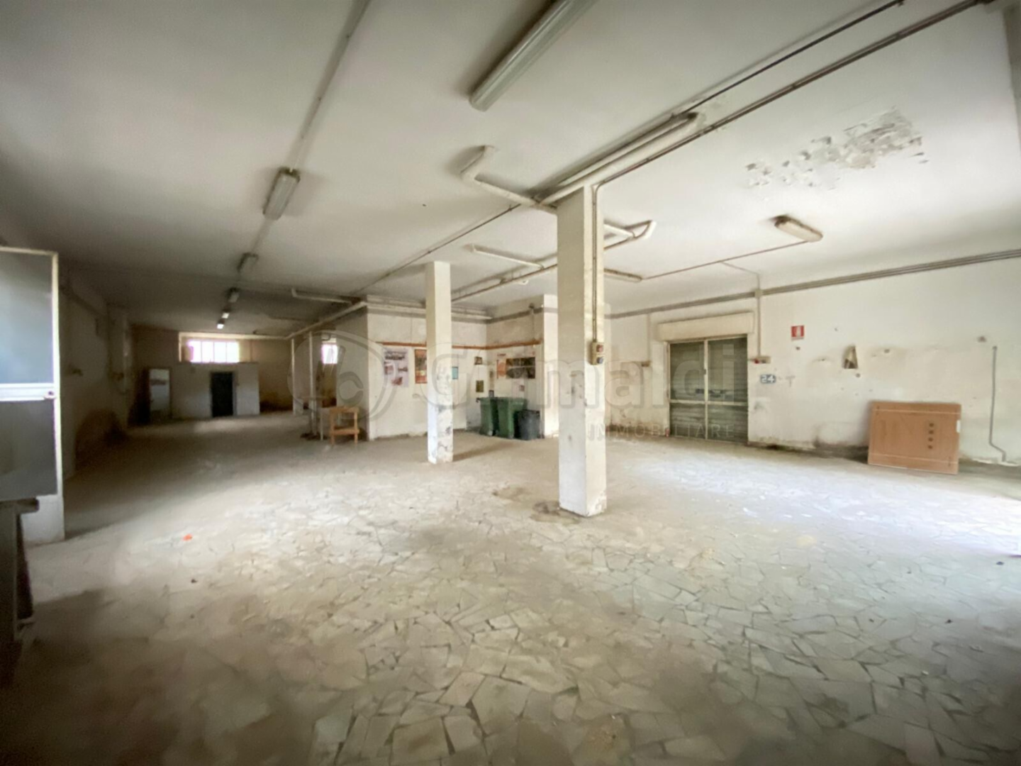 immagine annuncio 1 di 6