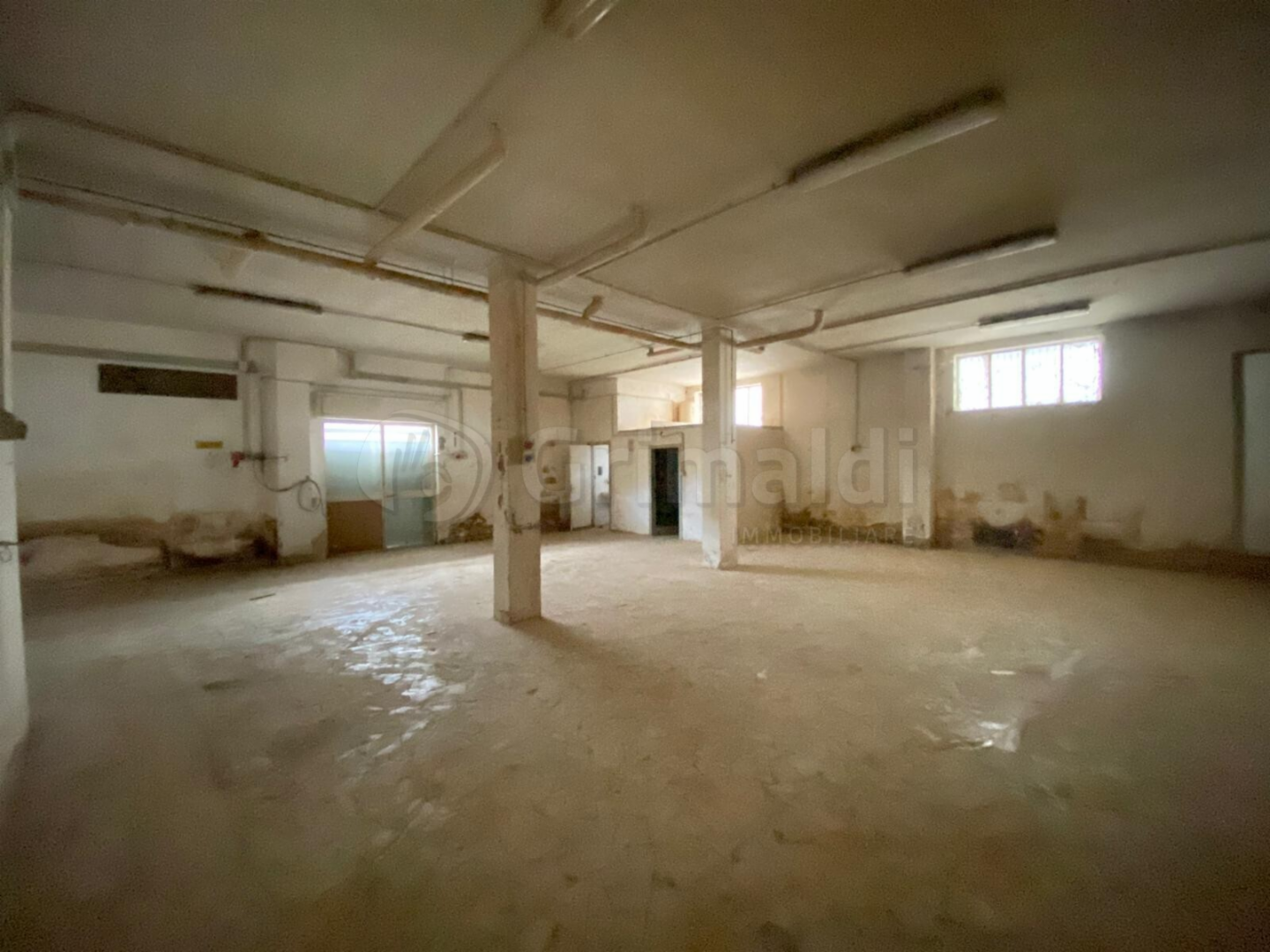 immagine annuncio 3 di 6