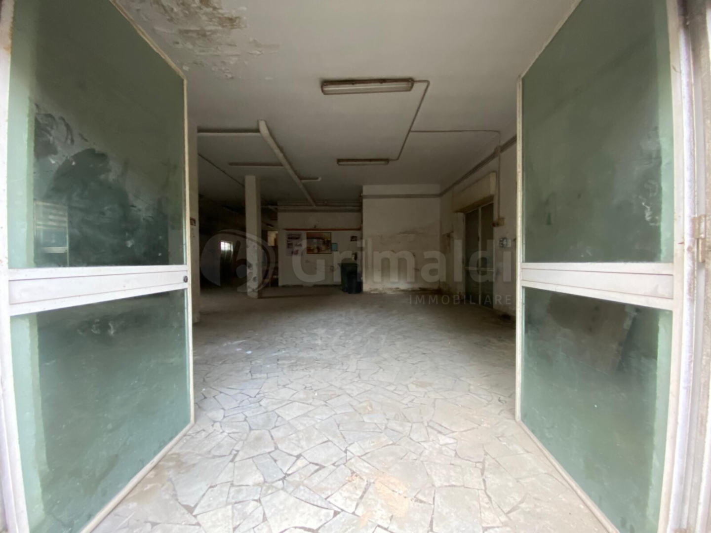 immagine annuncio 4 di 6