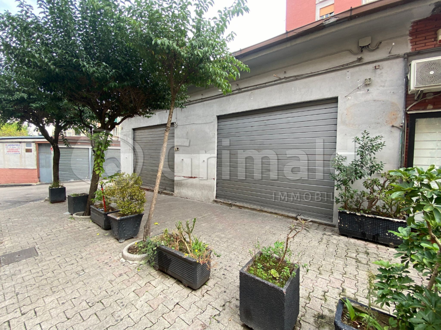 immagine annuncio 3 di 8