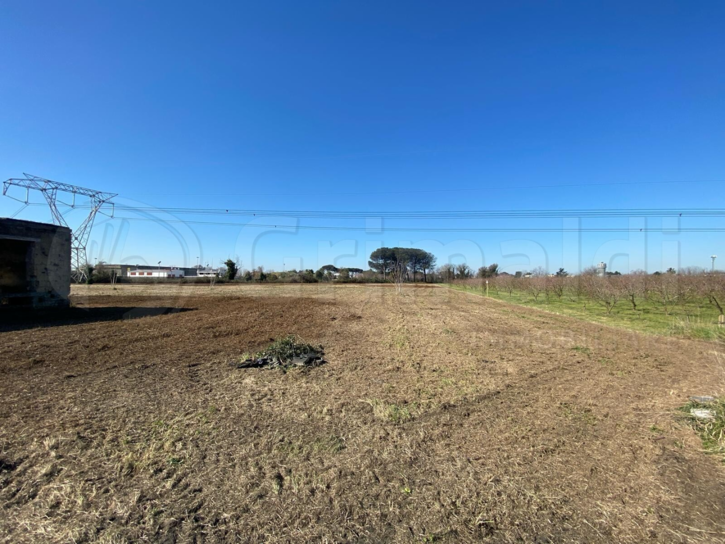 immagine annuncio 2 di 4