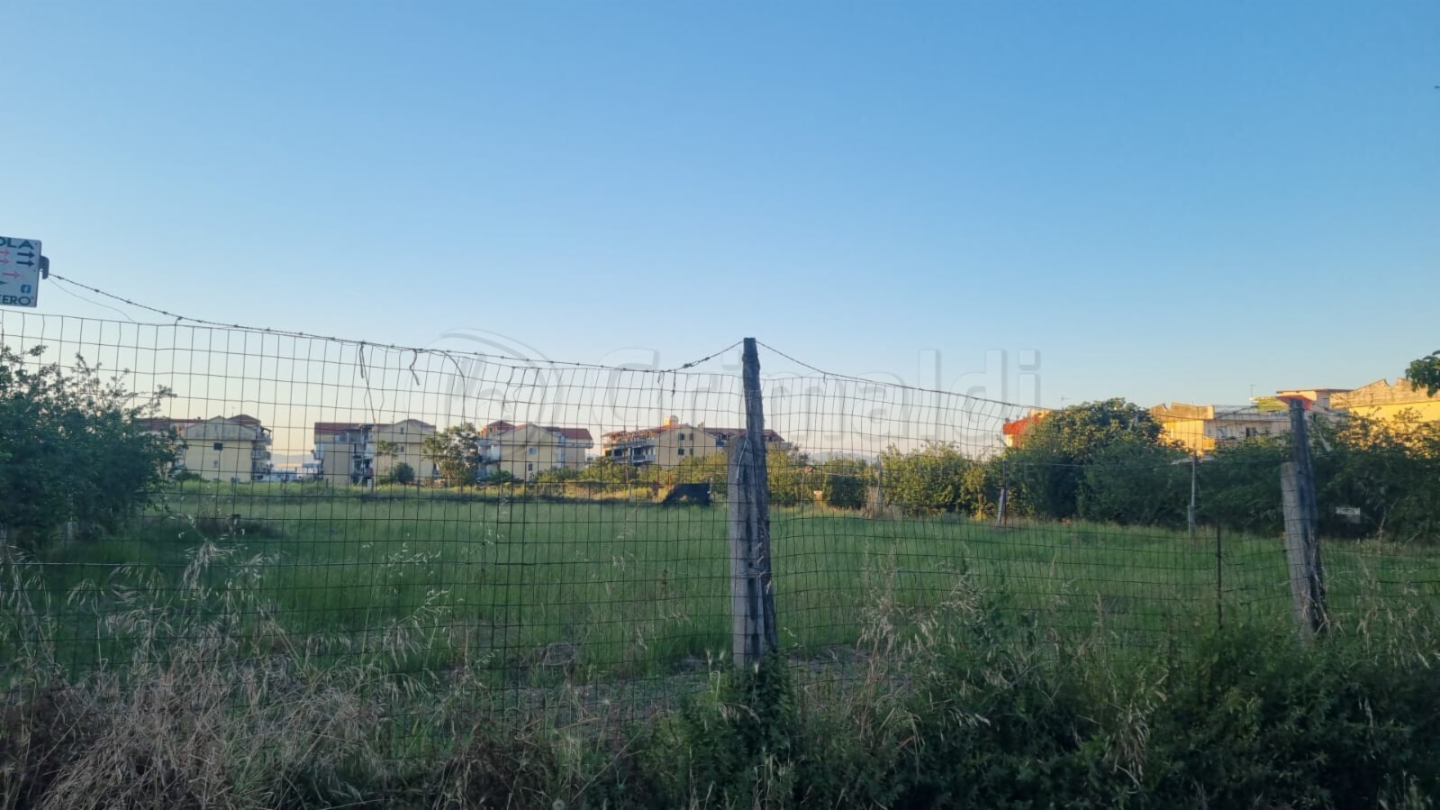 immagine annuncio 2 di 4