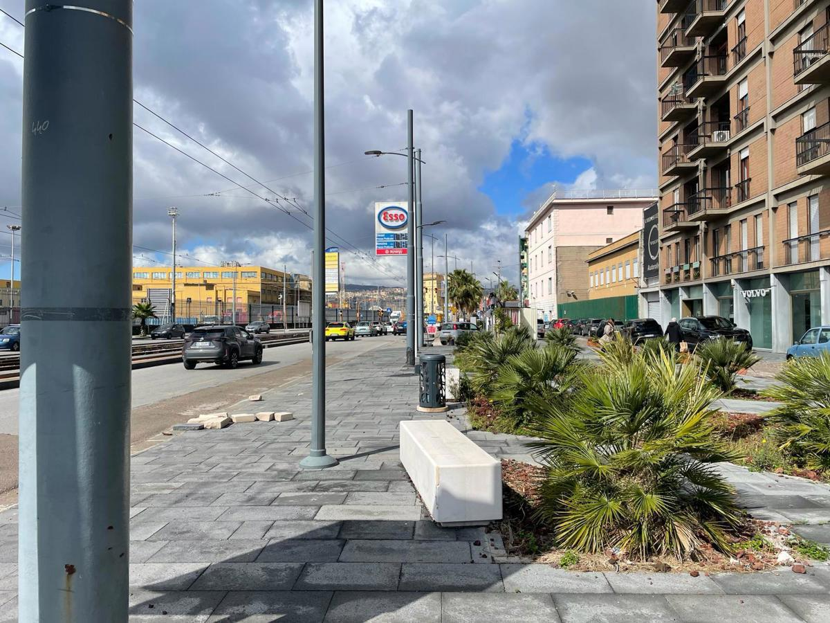 immagine annuncio 2 di 10