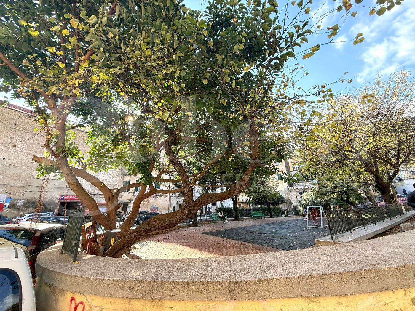 immagine annuncio 3 di 10