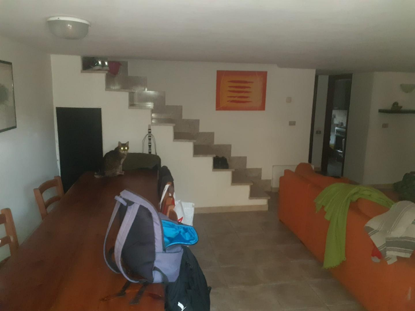 immagine annuncio 1 di 6