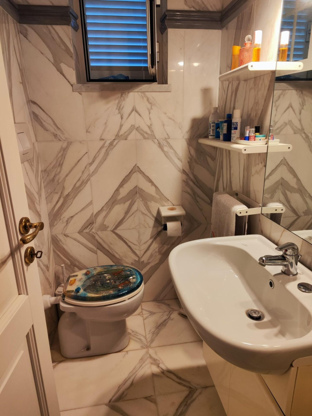 immagine annuncio 5 di 10