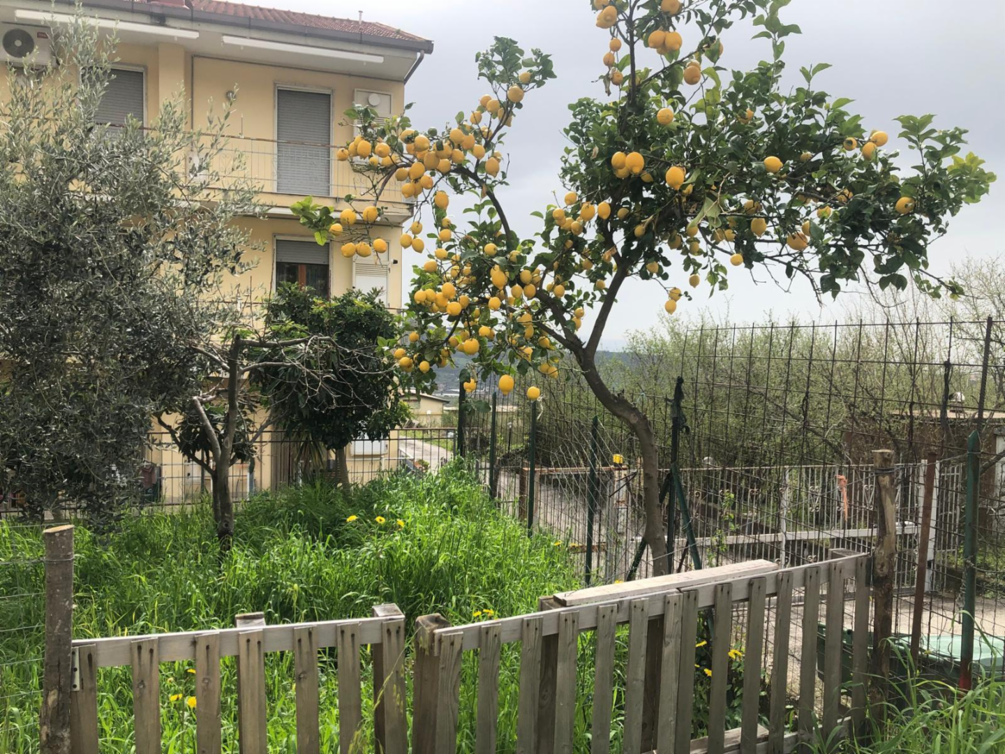 immagine annuncio 8 di 10