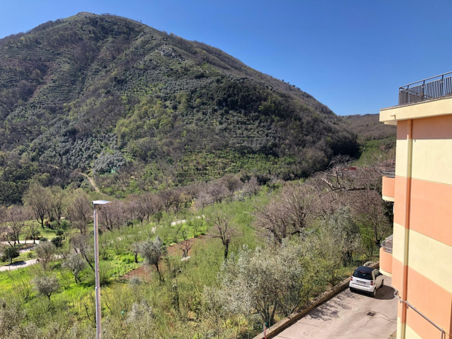 immagine annuncio 7 di 10