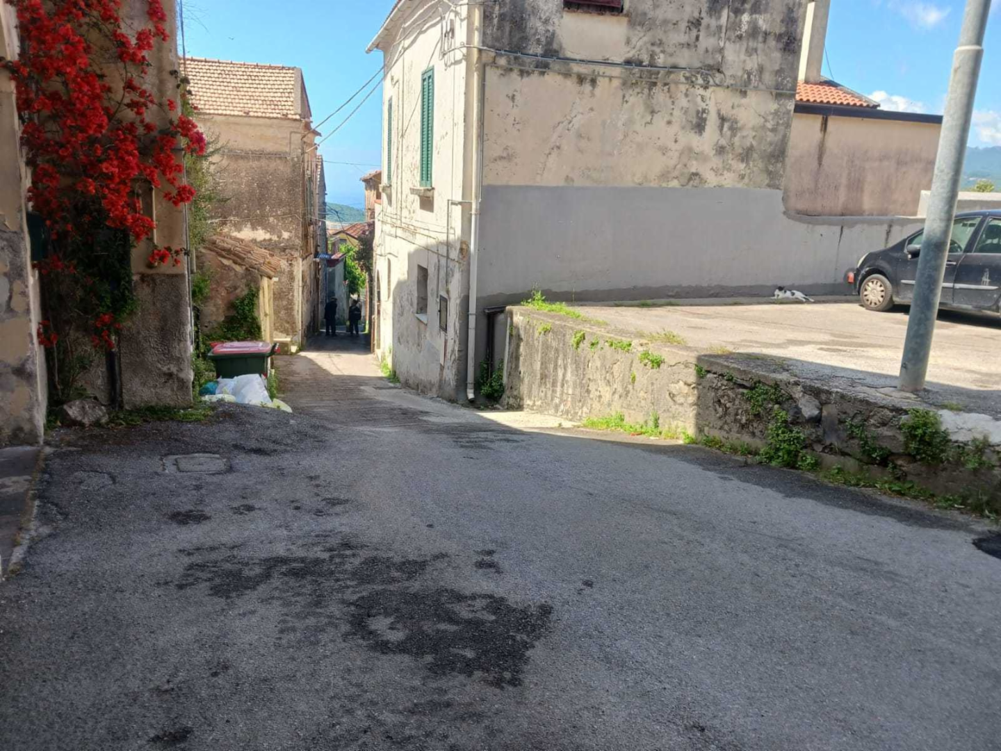 immagine annuncio 8 di 9
