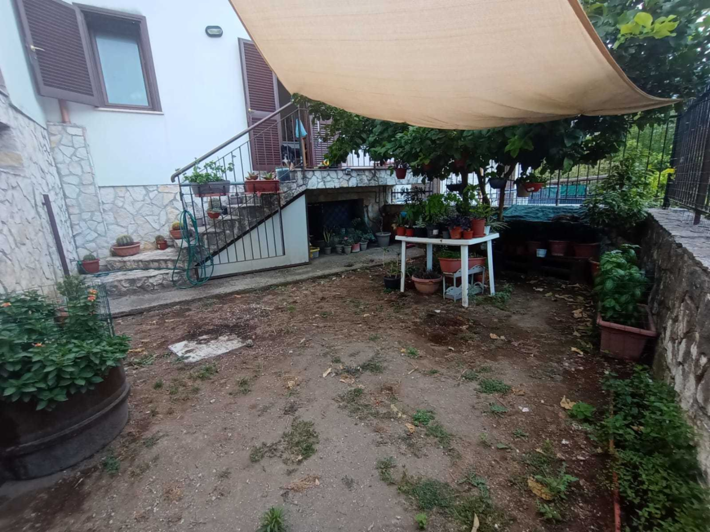 immagine annuncio 7 di 10