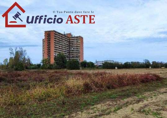 immagine annuncio 3 di 6