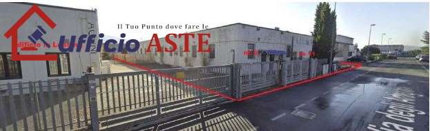 immagine annuncio 4 di 8
