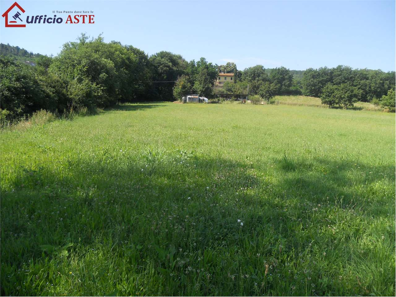 immagine annuncio 5 di 7