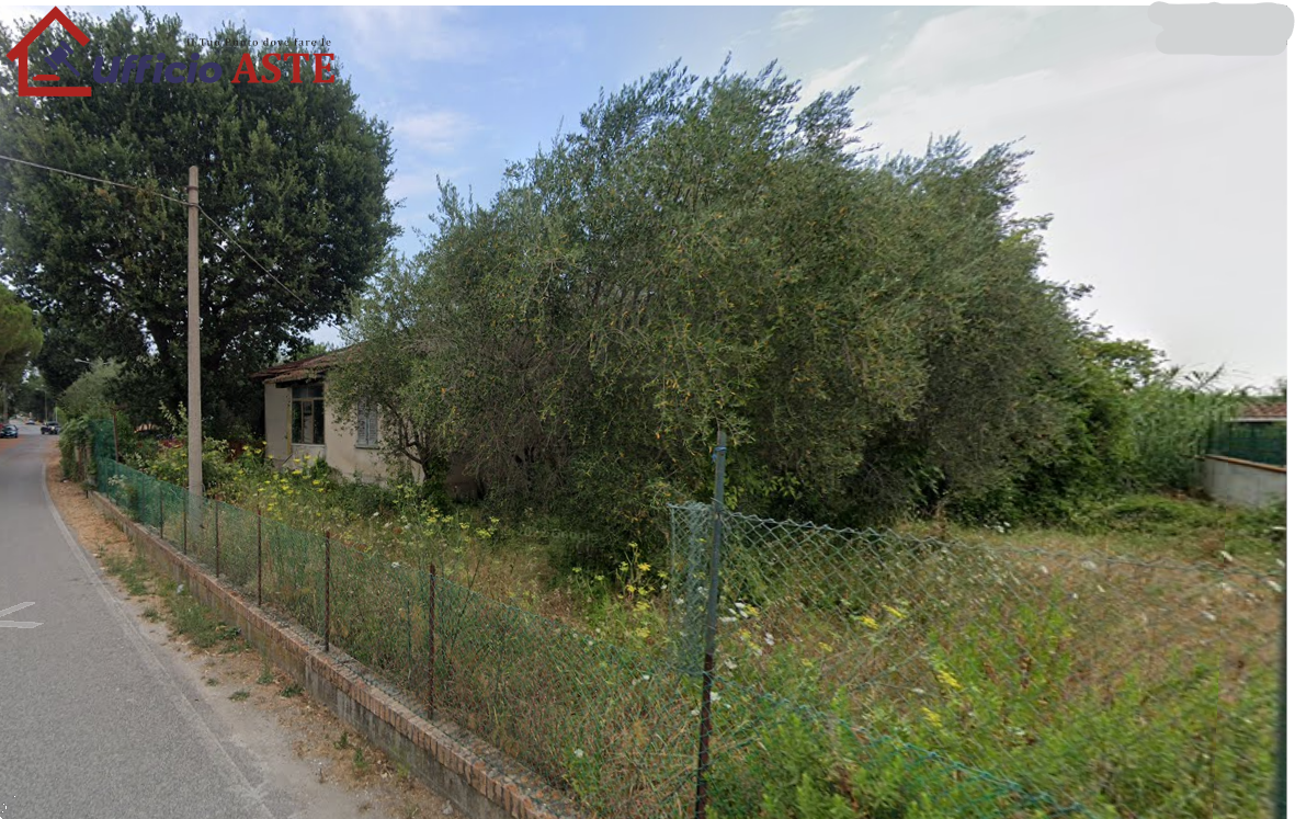immagine annuncio 1 di 7