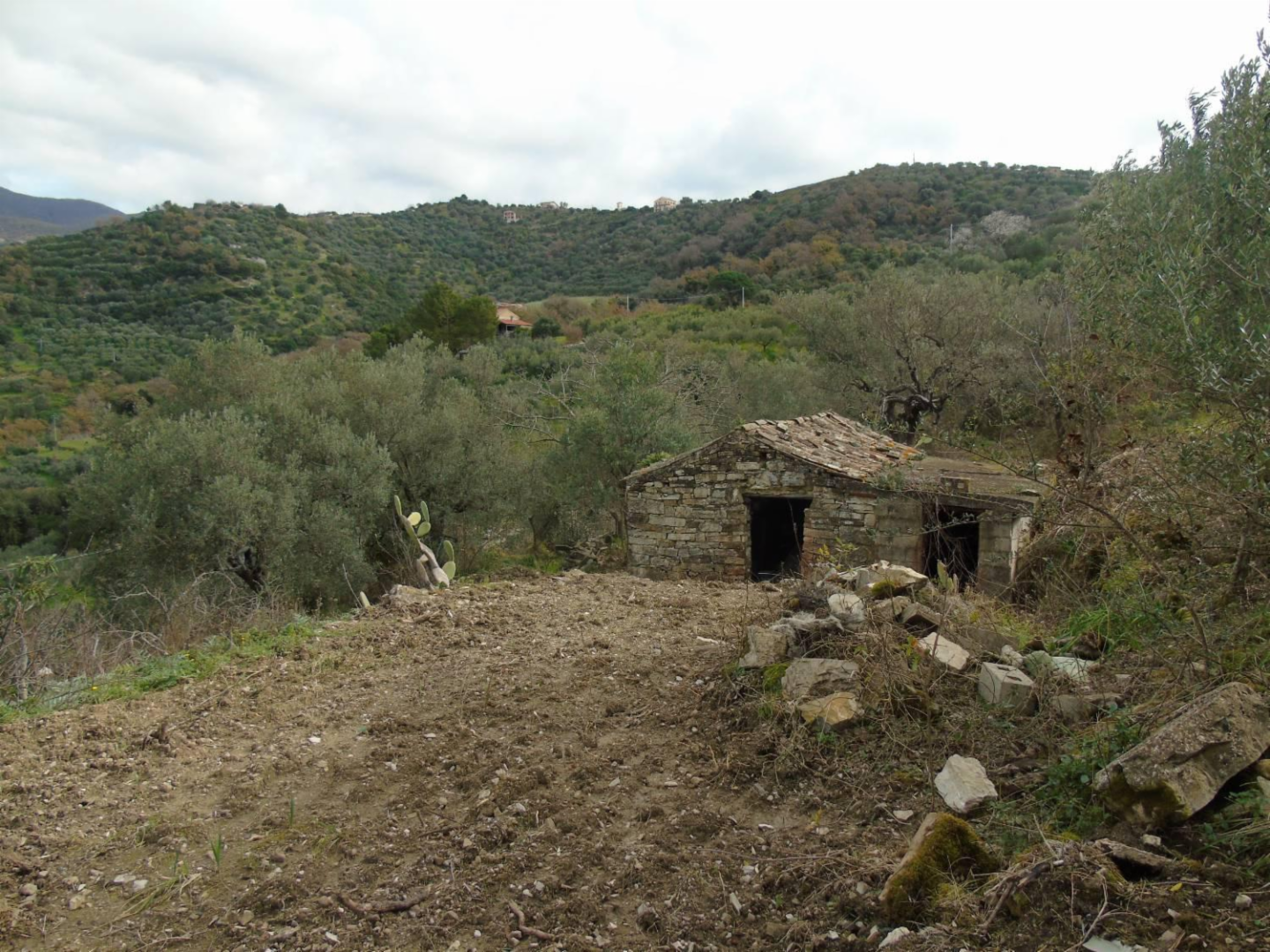 immagine annuncio 2 di 10
