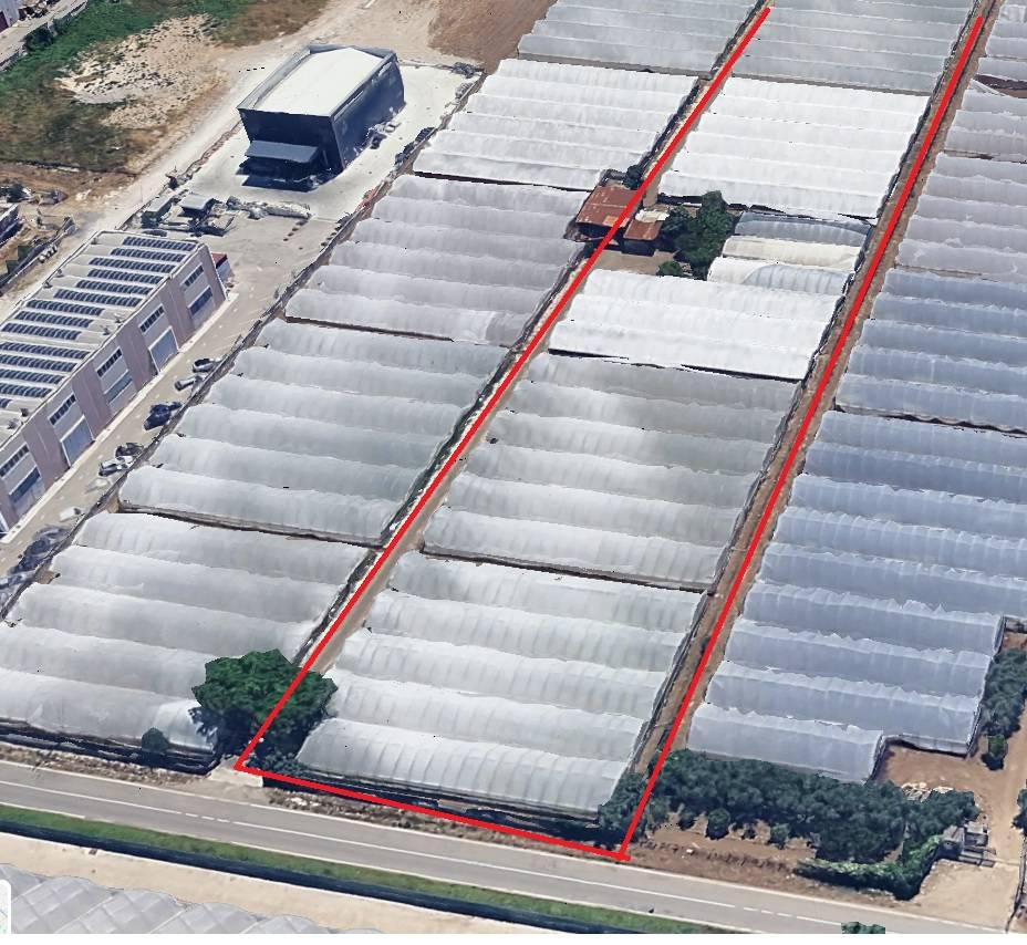 immagine annuncio 2 di 3