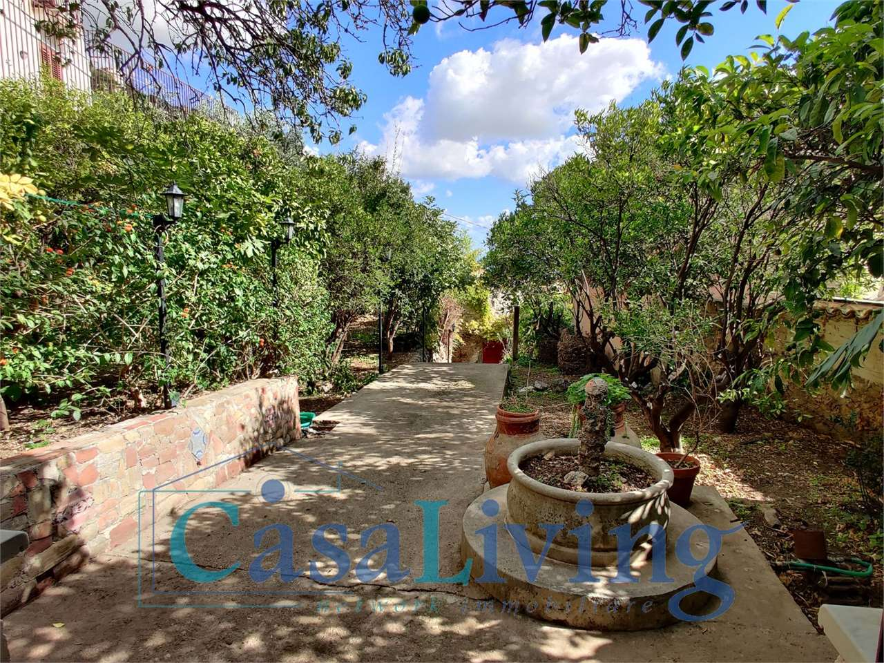 immagine annuncio 3 di 10