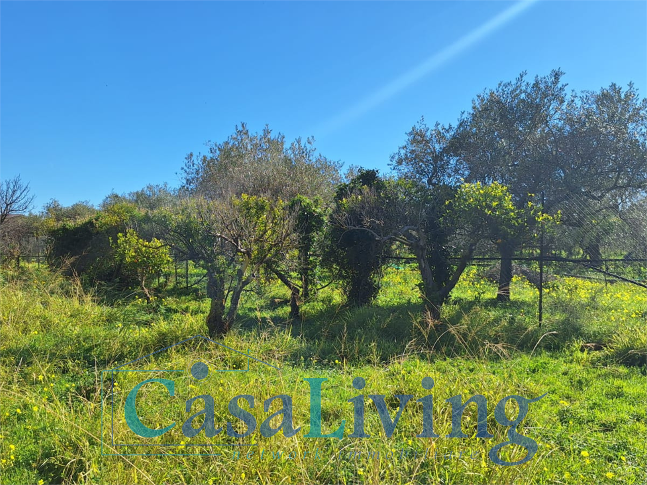 immagine annuncio 8 di 10