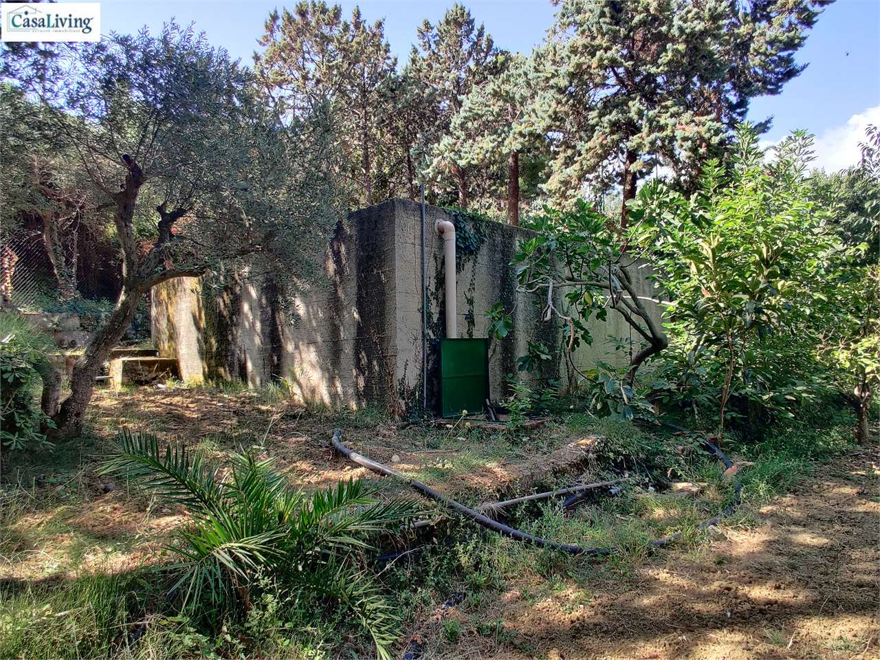 immagine annuncio 8 di 10