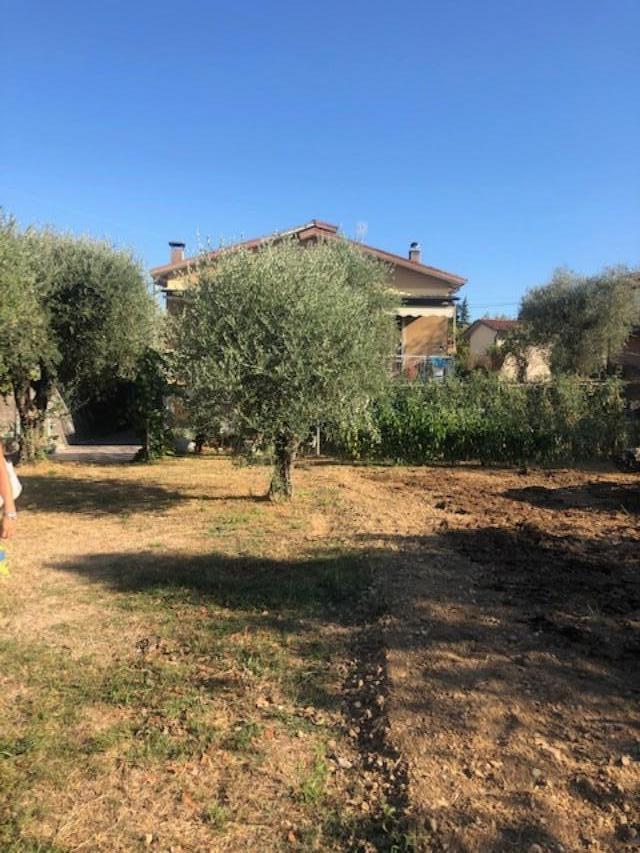 immagine annuncio 1 di 7