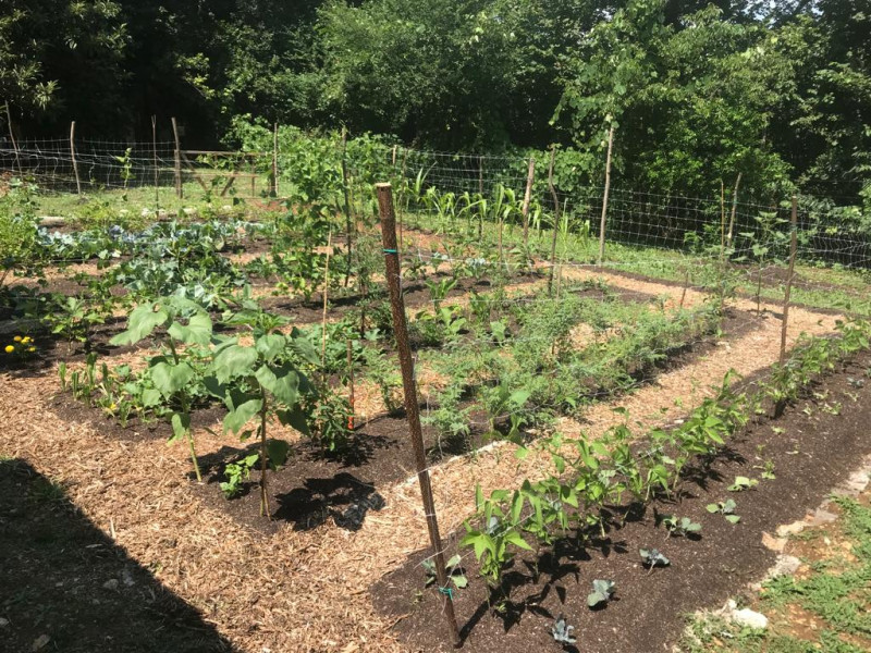 immagine annuncio 1 di 8