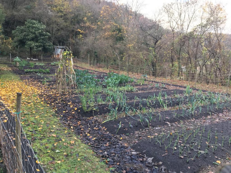 immagine annuncio 2 di 8