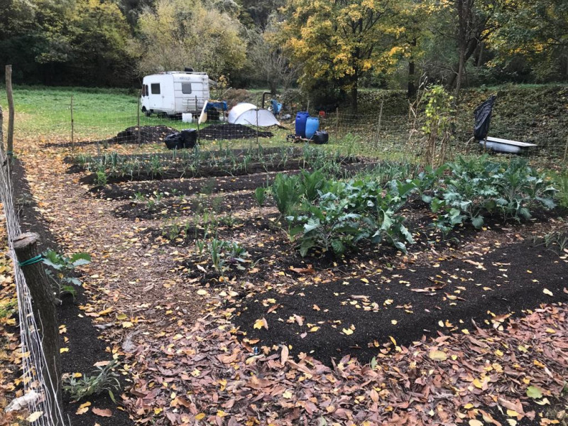 immagine annuncio 5 di 8