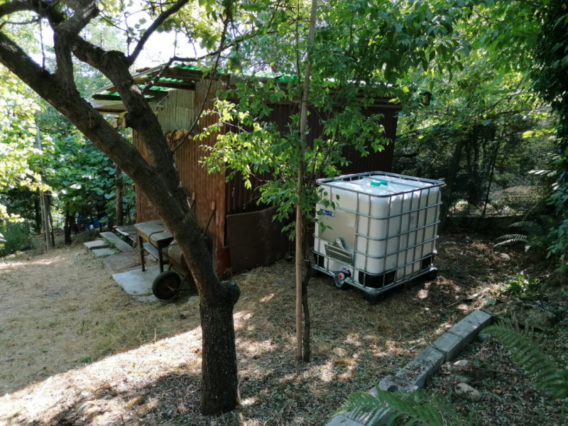 immagine annuncio 6 di 8