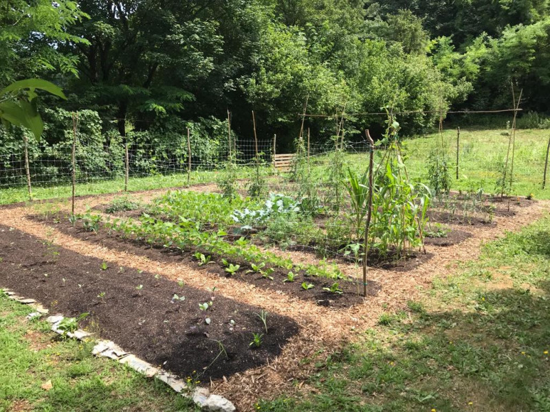 immagine annuncio 4 di 8