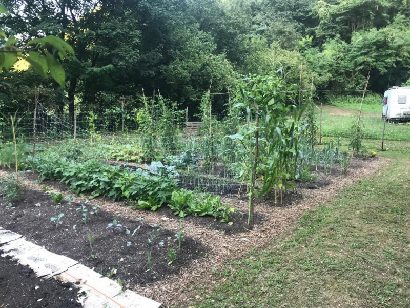 immagine annuncio 3 di 8