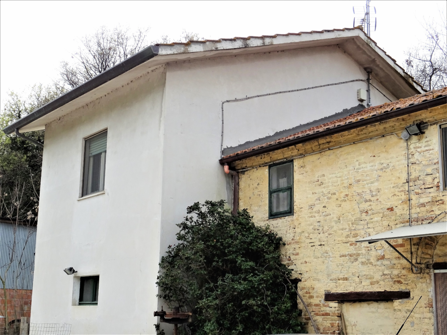 immagine annuncio 5 di 8