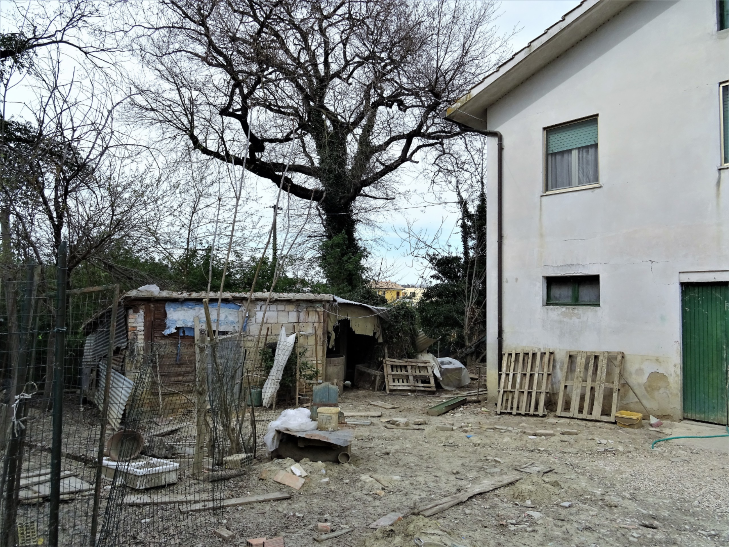 immagine annuncio 6 di 8