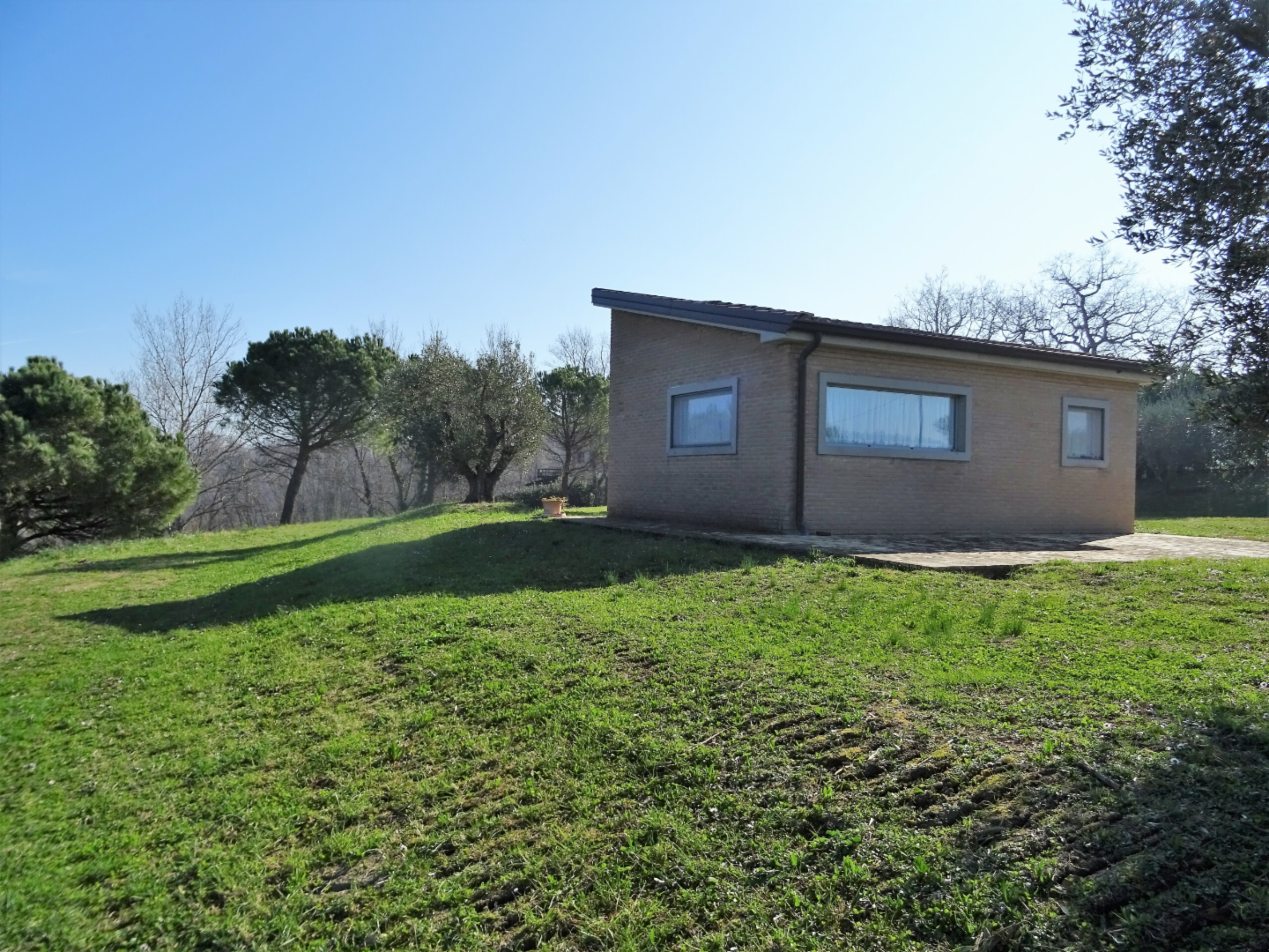 immagine annuncio 3 di 10