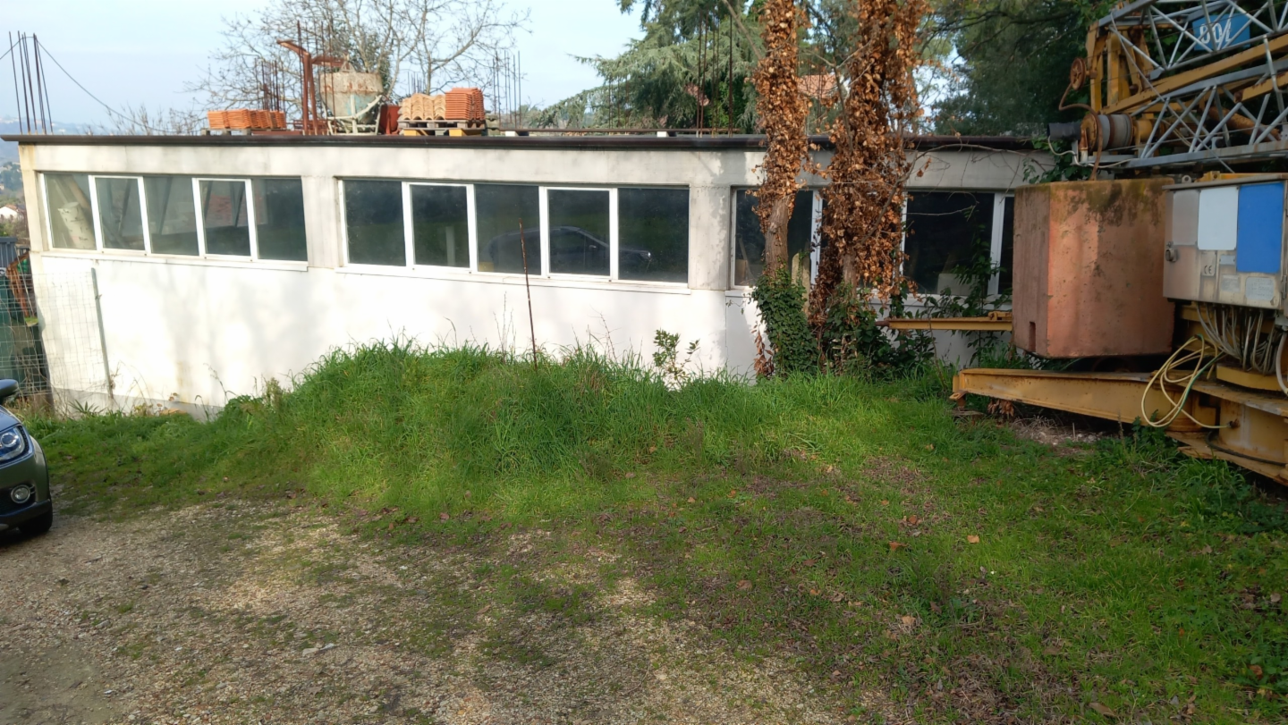 immagine annuncio 1 di 2