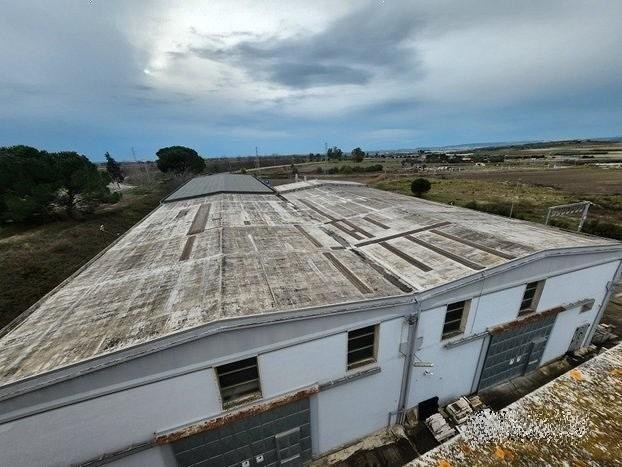 immagine annuncio 1 di 2