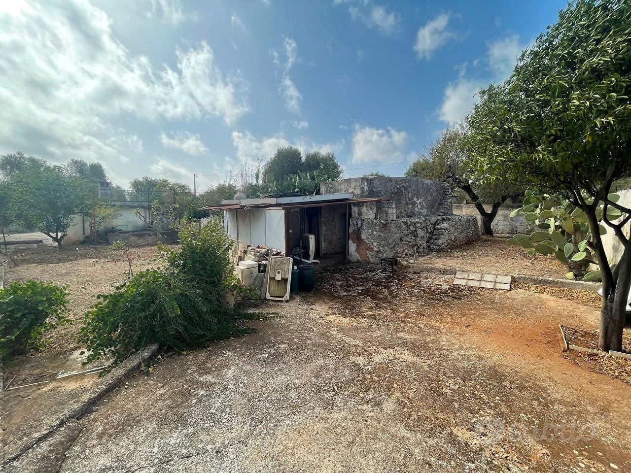 immagine annuncio 9 di 10