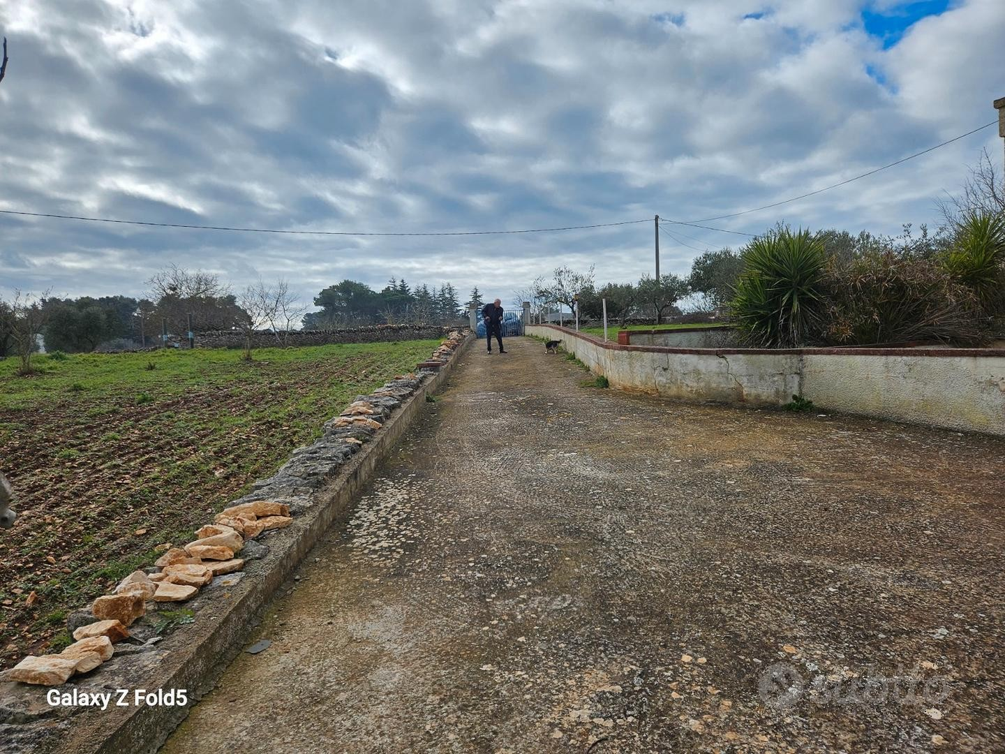 immagine annuncio 6 di 10