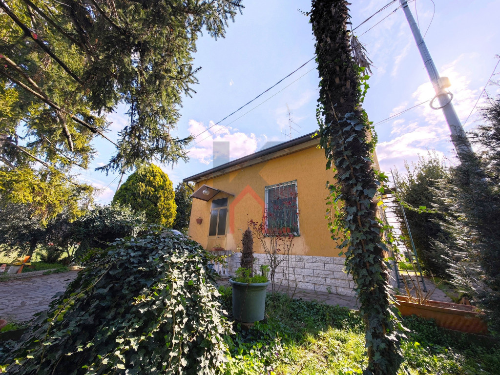 immagine annuncio 1 di 10