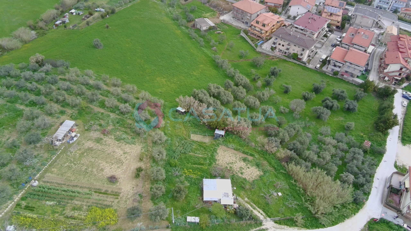 immagine annuncio 2 di 7
