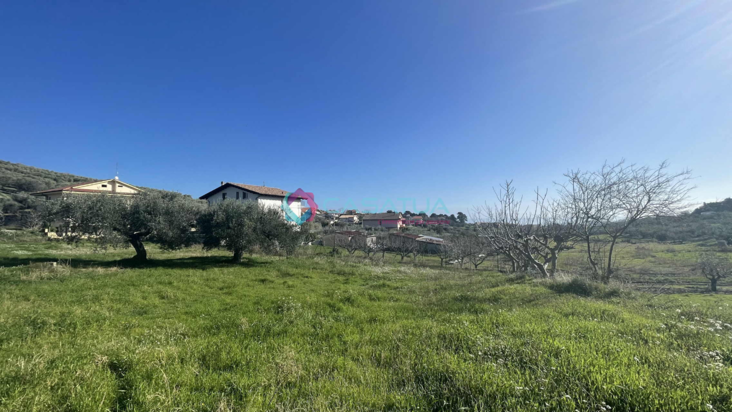 immagine annuncio 6 di 10