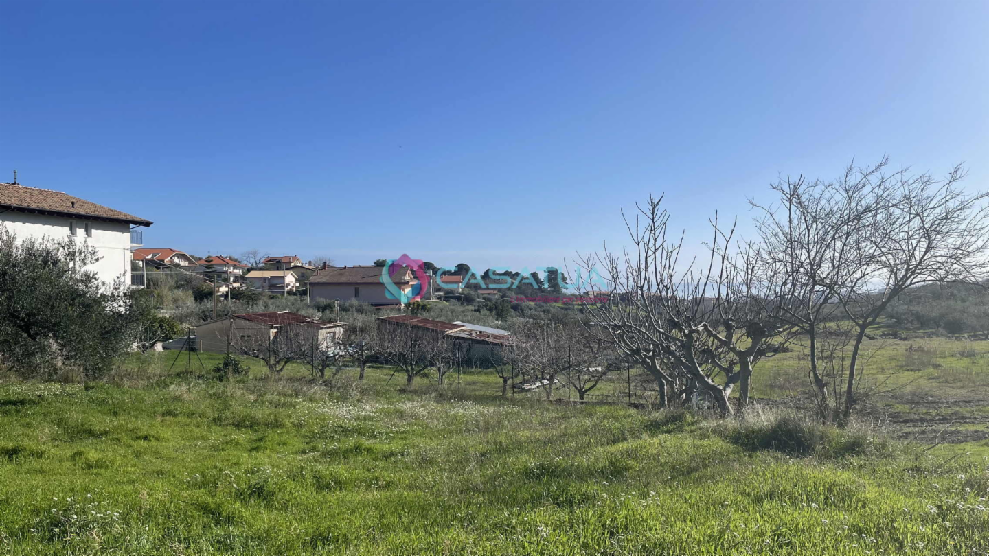 immagine annuncio 7 di 10