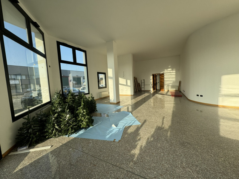 immagine annuncio 5 di 6