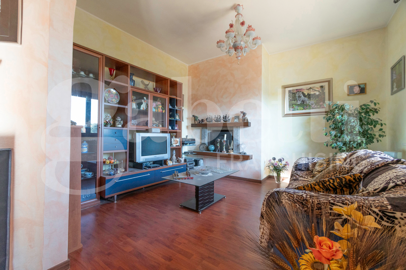 immagine annuncio 9 di 10