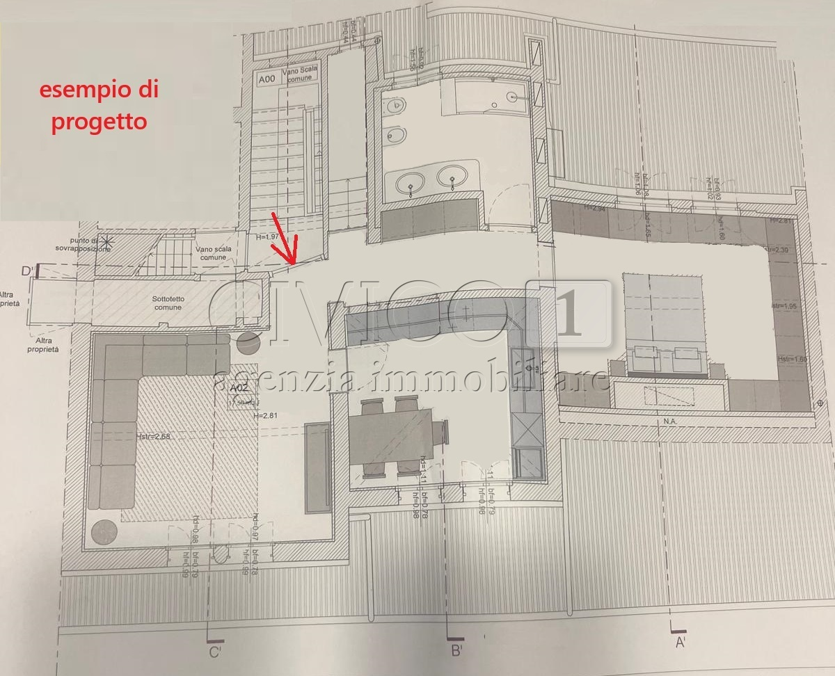 immagine annuncio 2 di 10