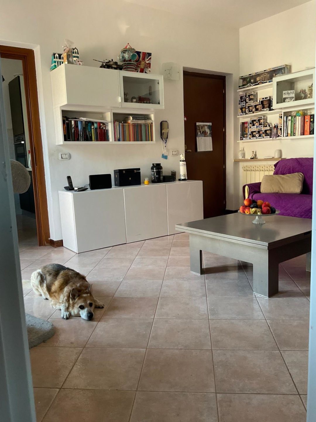immagine annuncio 1 di 10