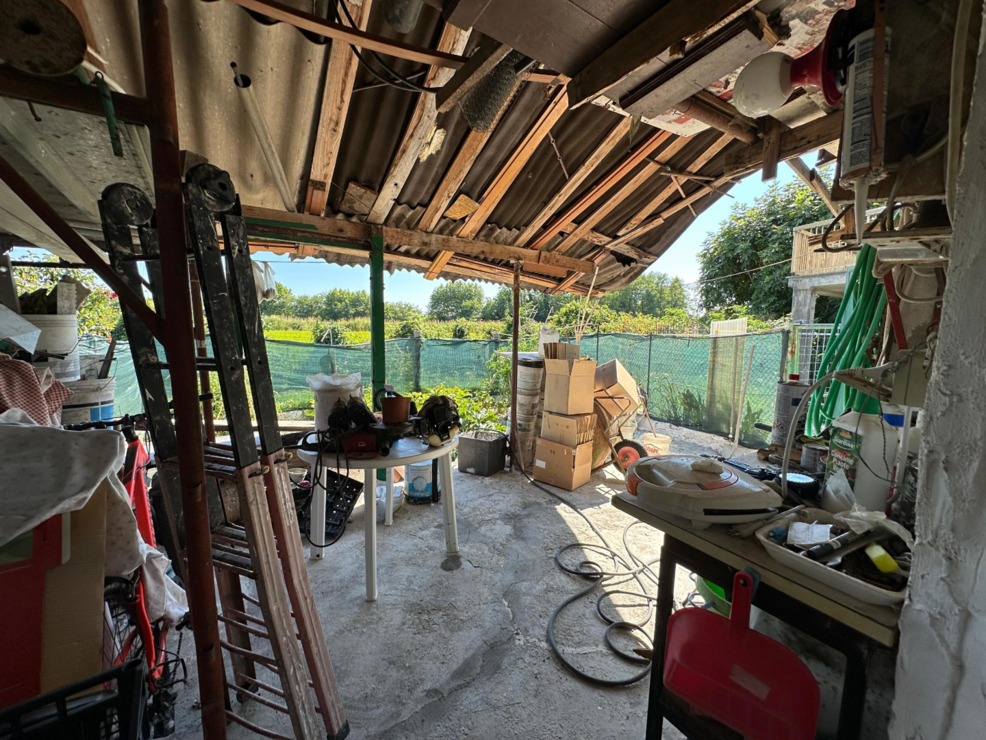 immagine annuncio 9 di 10