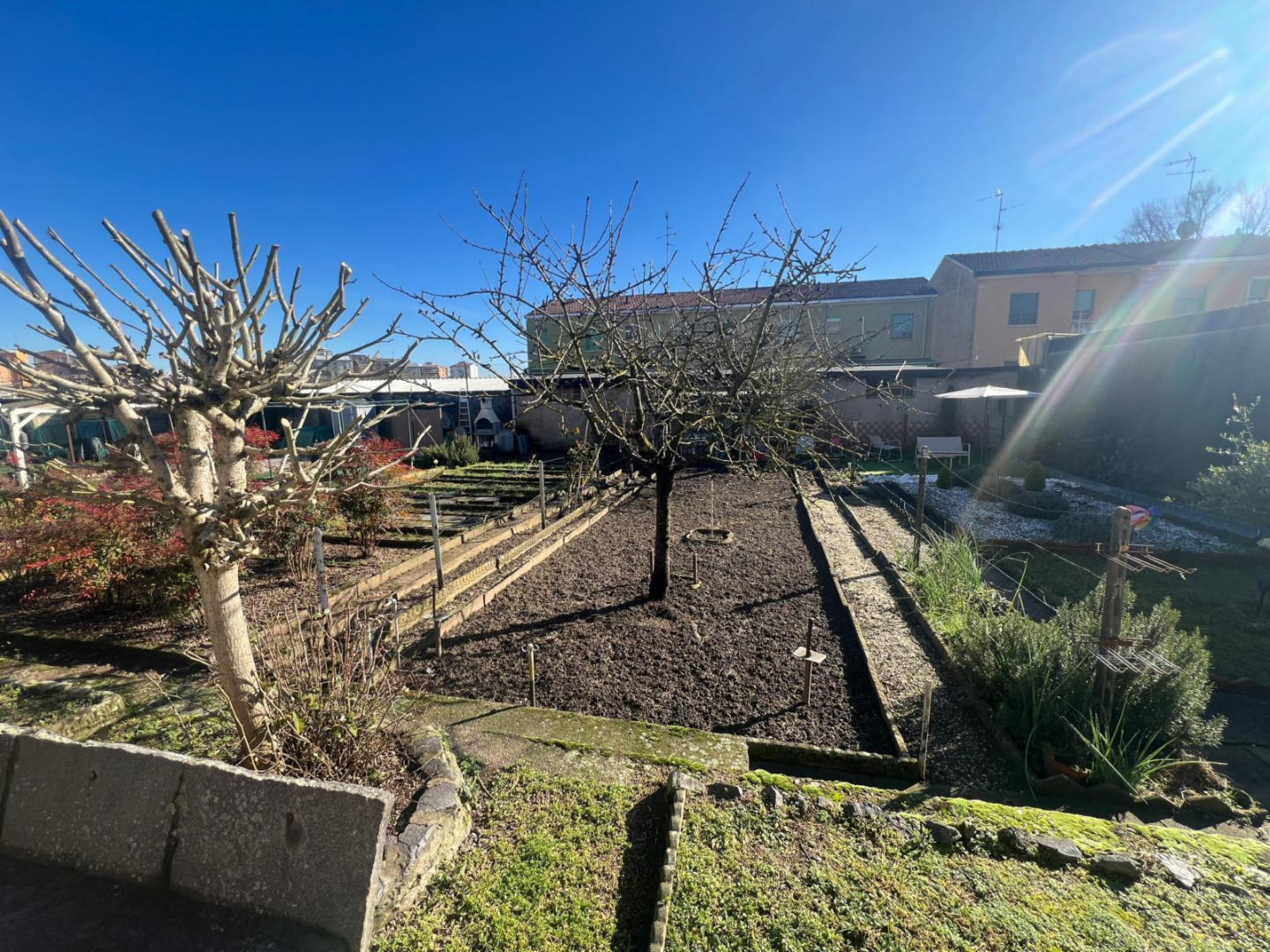 immagine annuncio 7 di 10