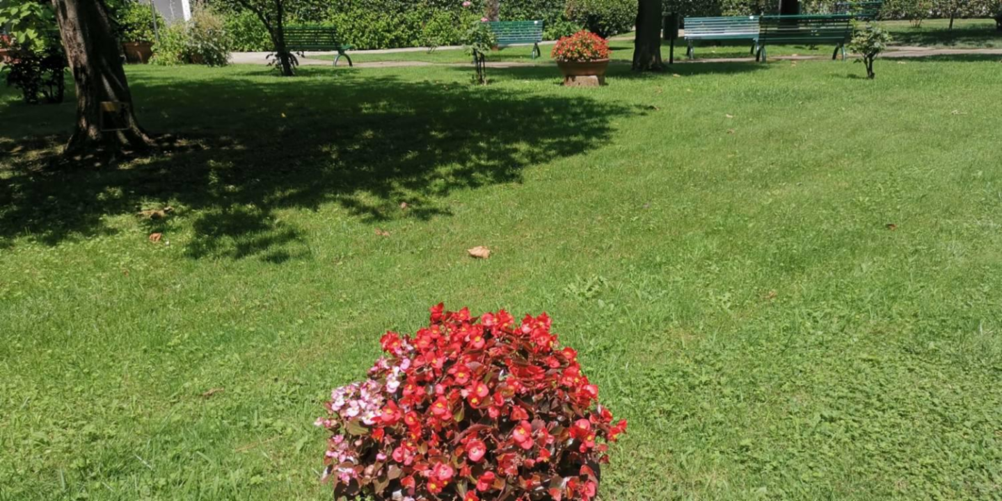 immagine annuncio 2 di 10